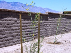 AF Riverside wall created using Proto-II Wall Systems